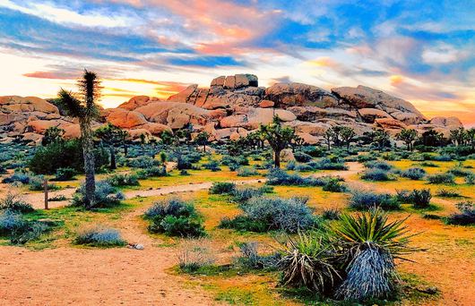 Getaway Guide: Joshua Tree - Part 2