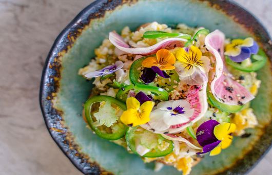 San Francisco Standout: KAIYO Brings Innovative Cuisine to Cow Hollow