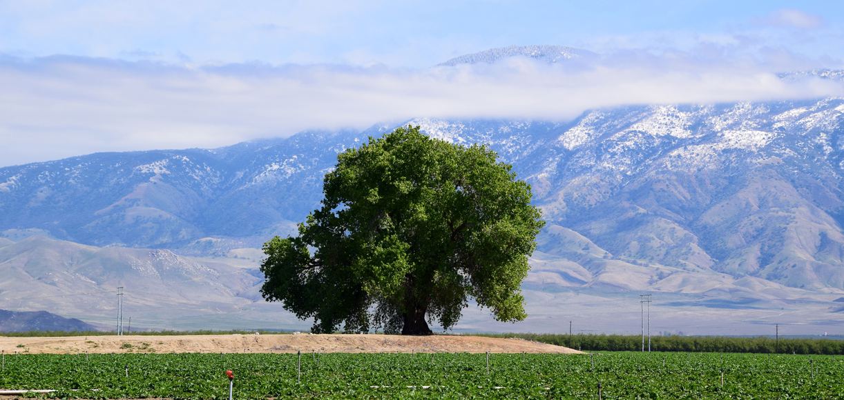 Charms of Lamont Your SmallTown California Paradise