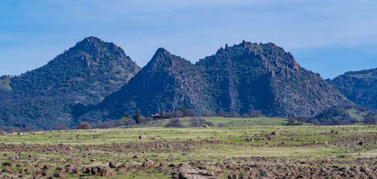 Live Oak's Treasure Trove A Guide to California's Gem