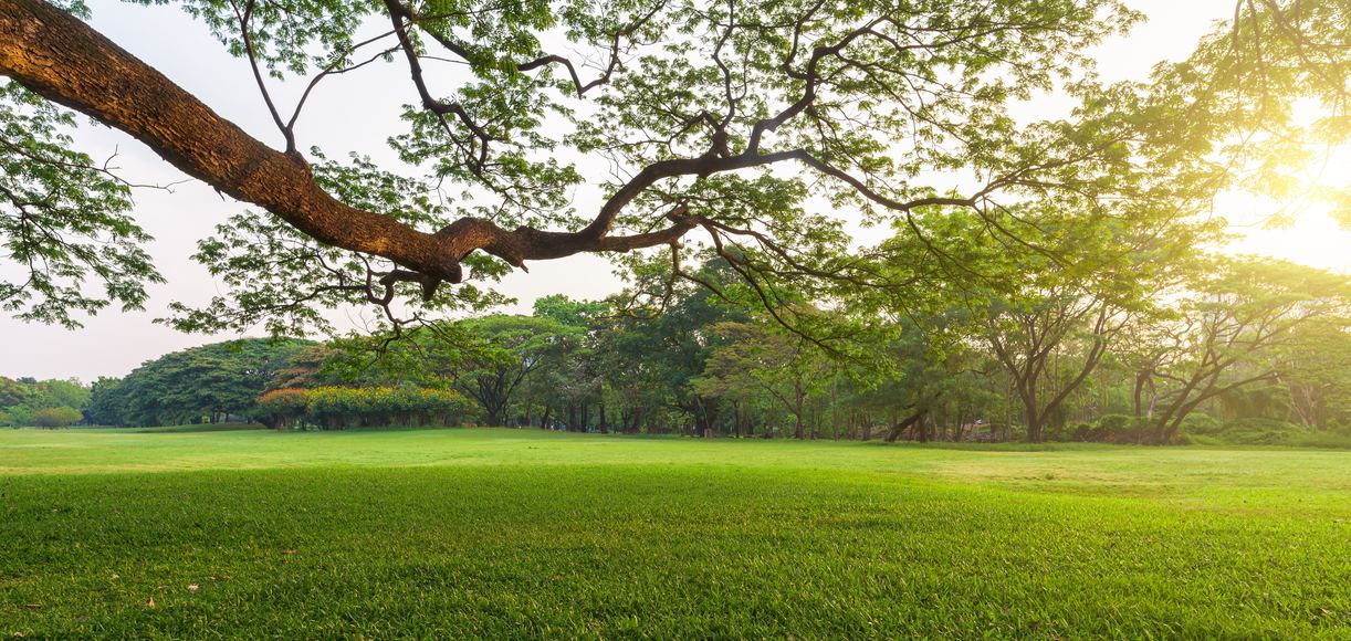 The Joy of Living in Mead Valley, California