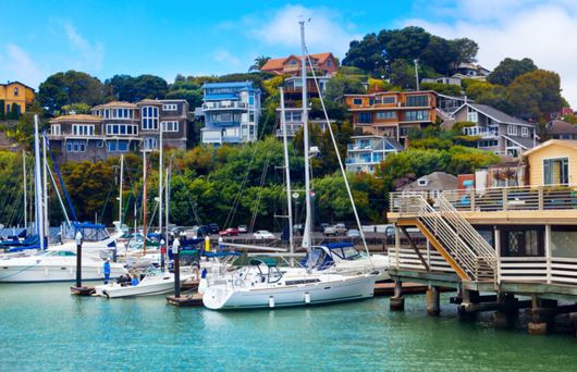 Bay Area Standout: Marin