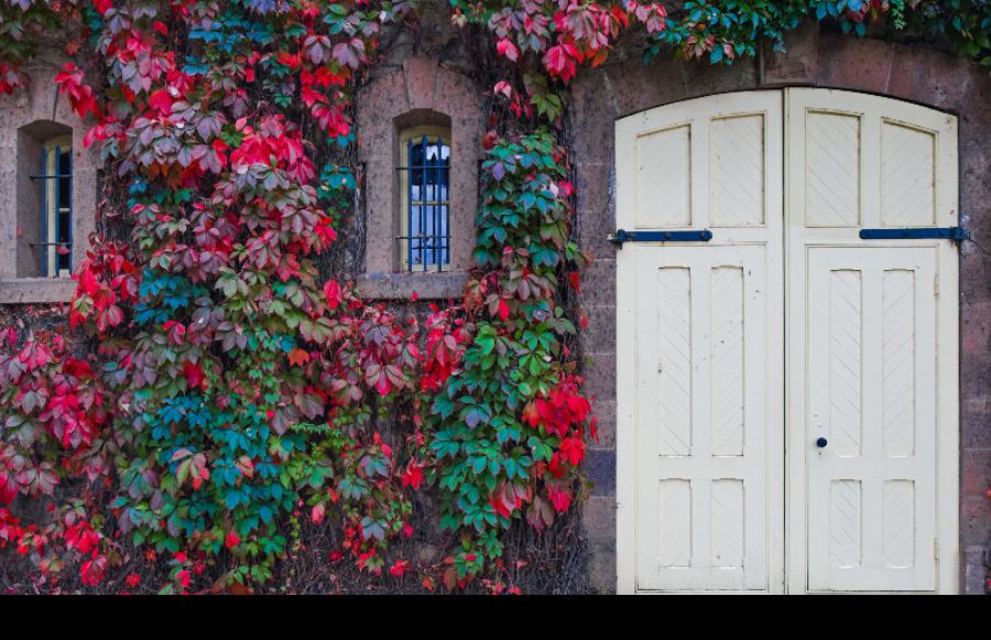 Hold the Wine: 11 Things to Do in Wine Country that Don’t Involve Drinking