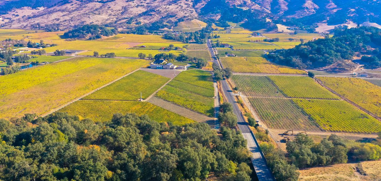Top 9 Napa Valley Tours to Explore in Wine Country