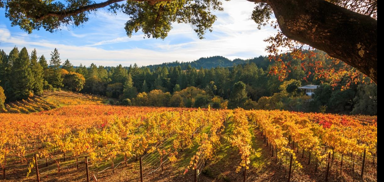 The Golden State s Best Places to Visit in The Fall 