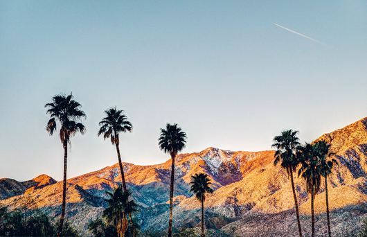 Getaway Guide: Palm Springs