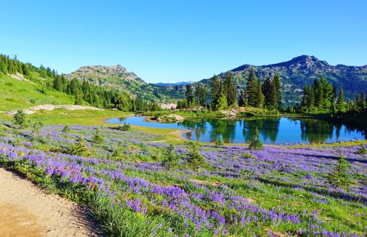 Traversing Trails: Introduction to the Pacific Crest Trail