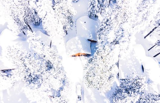 Powdered Slopes & Panoramic Scenery: The California Ski Tour to Take This Year