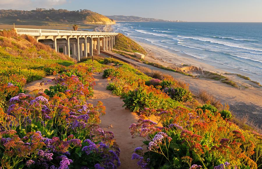 The Best California State Parks Near San Diego