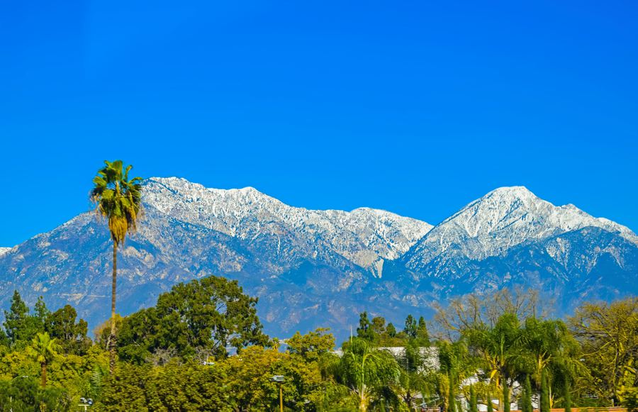 California Voices: The Place to Exhale