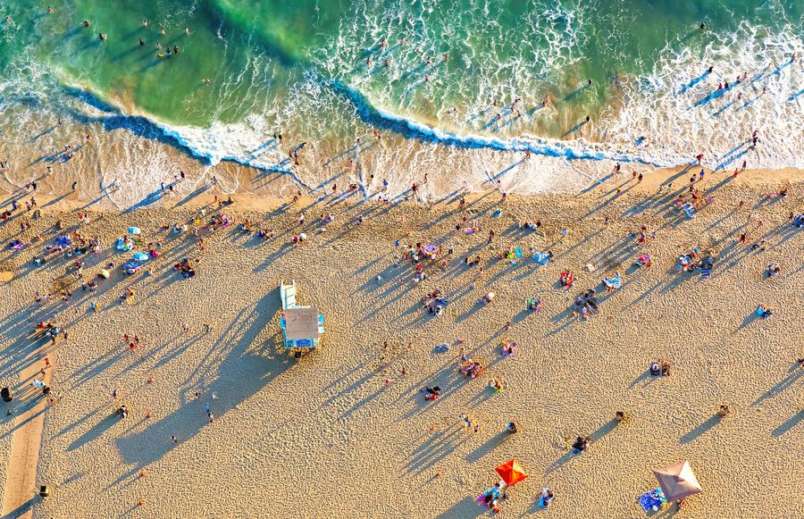 What You Need to Know About Santa Monica Beach