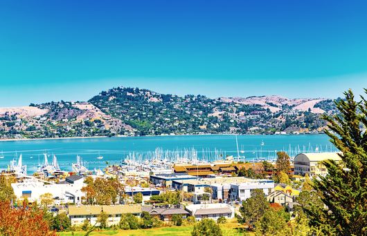 What's Up With Sausalito's Floating Homes and Houseboats?