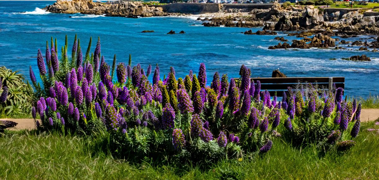 9 Weekend Trips from San Francisco Every Local Should Take