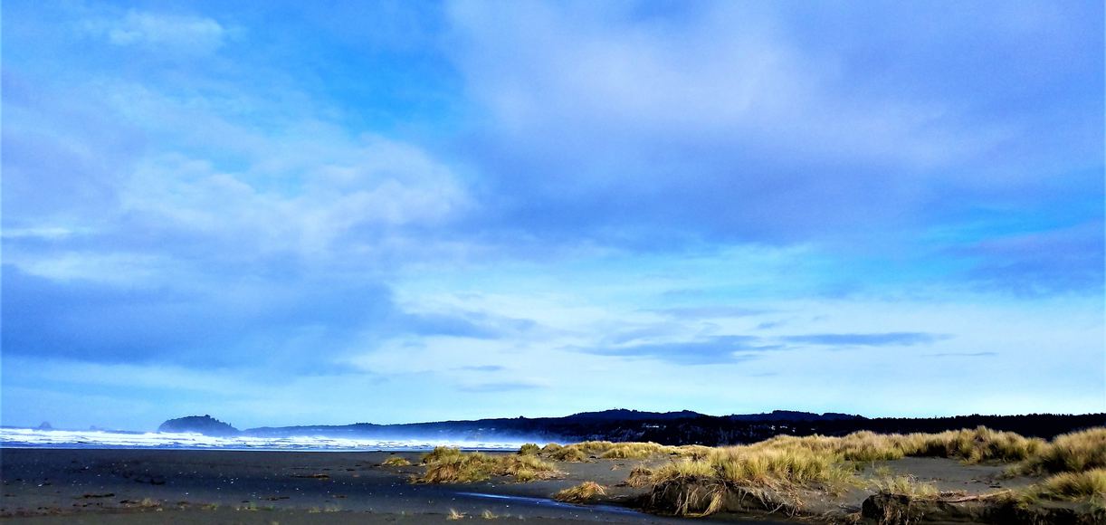 Top 5 Beaches Near McKinleyville, California