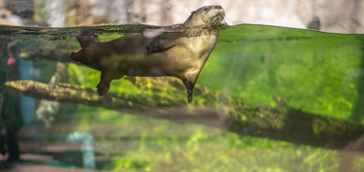 The Top 5 Museums near Half Moon Bay