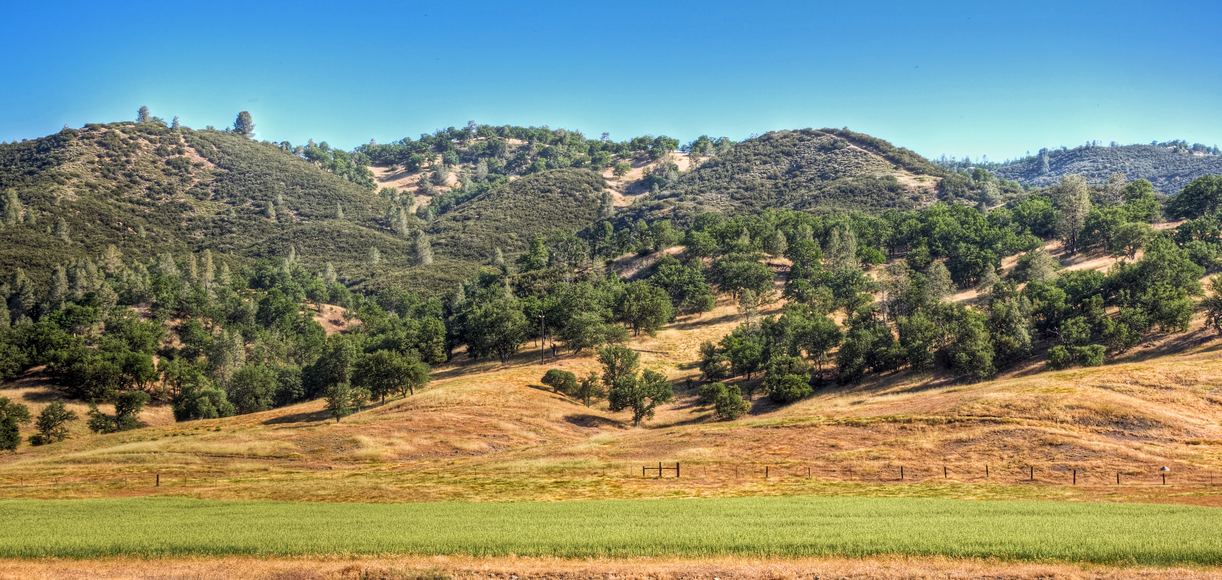 Where are the 5 Best Colleges Near Coalinga, California?