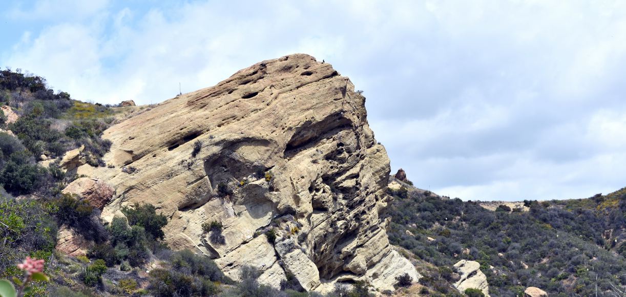 An Insider’s Guide to Topanga State Park