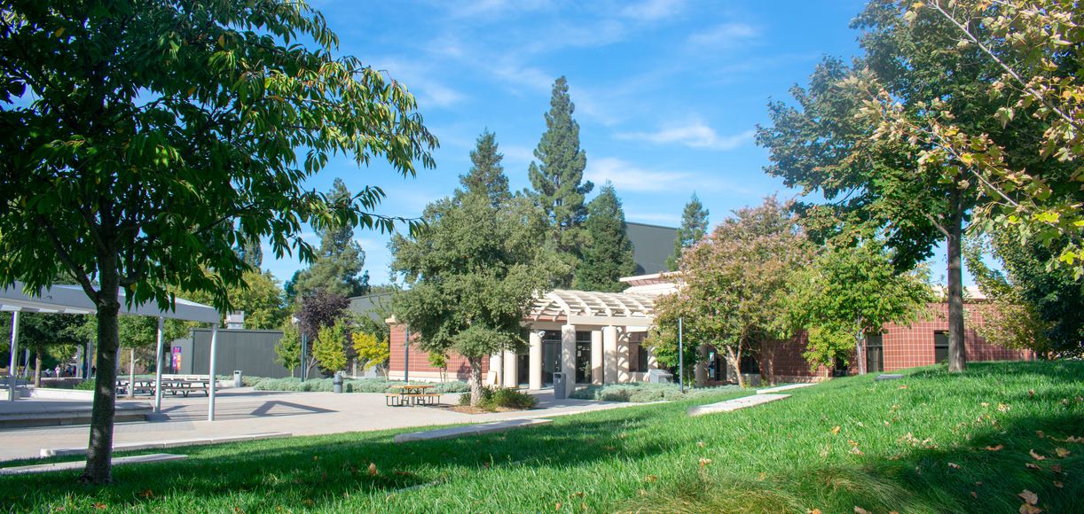 A Comprehensive Look at Diablo Valley College