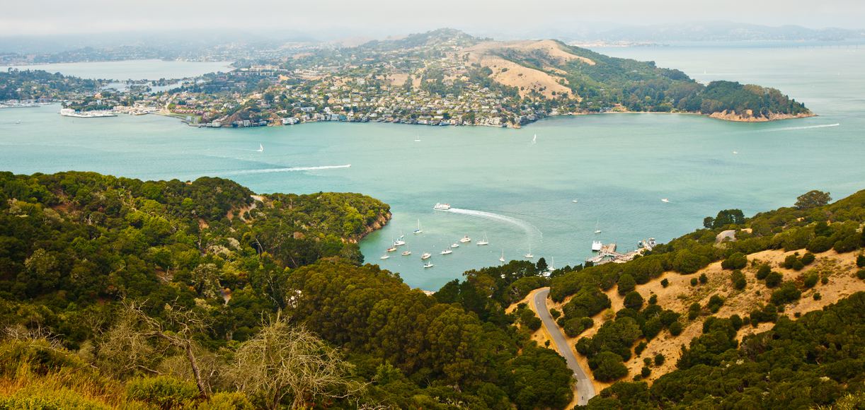 Discovering Tiburon, California: The Coastal Town with Charm and 