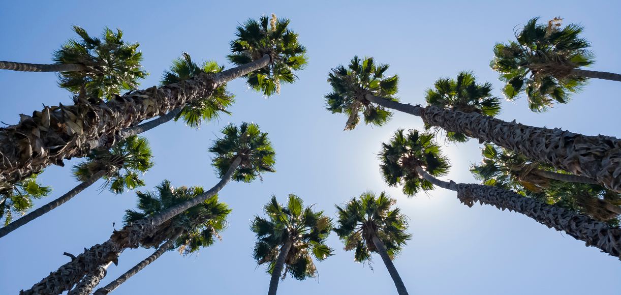 Discover the Allure of Arcadia California's Hidden Gem