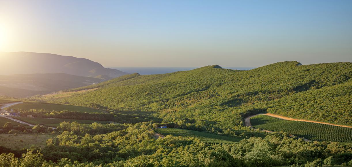 French Valley, California A Hidden Gem of the Inland Empire