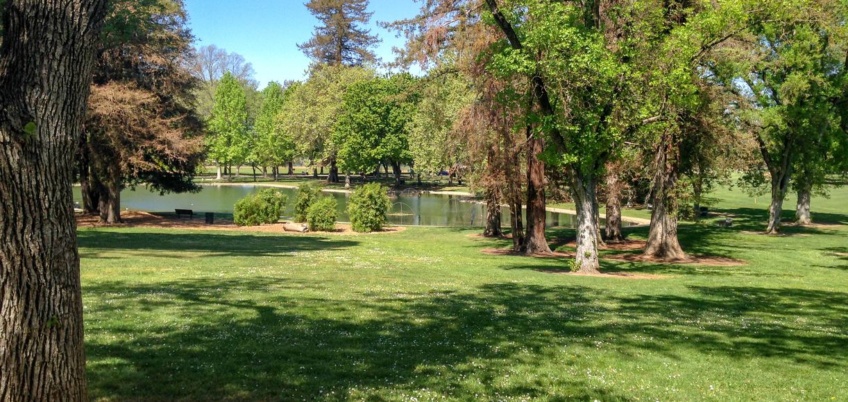 Top 5 Picnic Locations in Sacramento