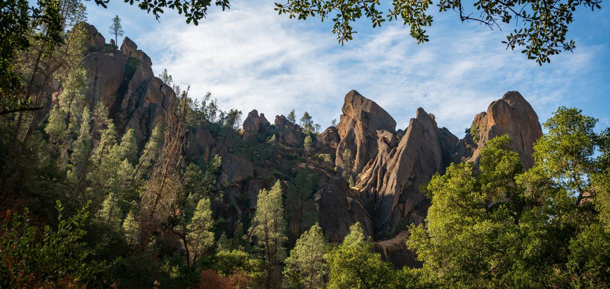 are dogs allowed in pinnacles national park