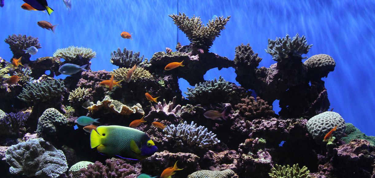 The Best Museums to Visit Near Chula Vista, California A Guide