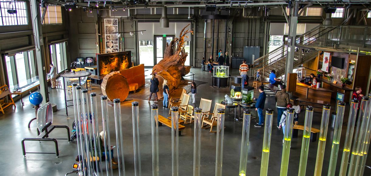 7 Best Interactive Museums and Art Exhibits in California