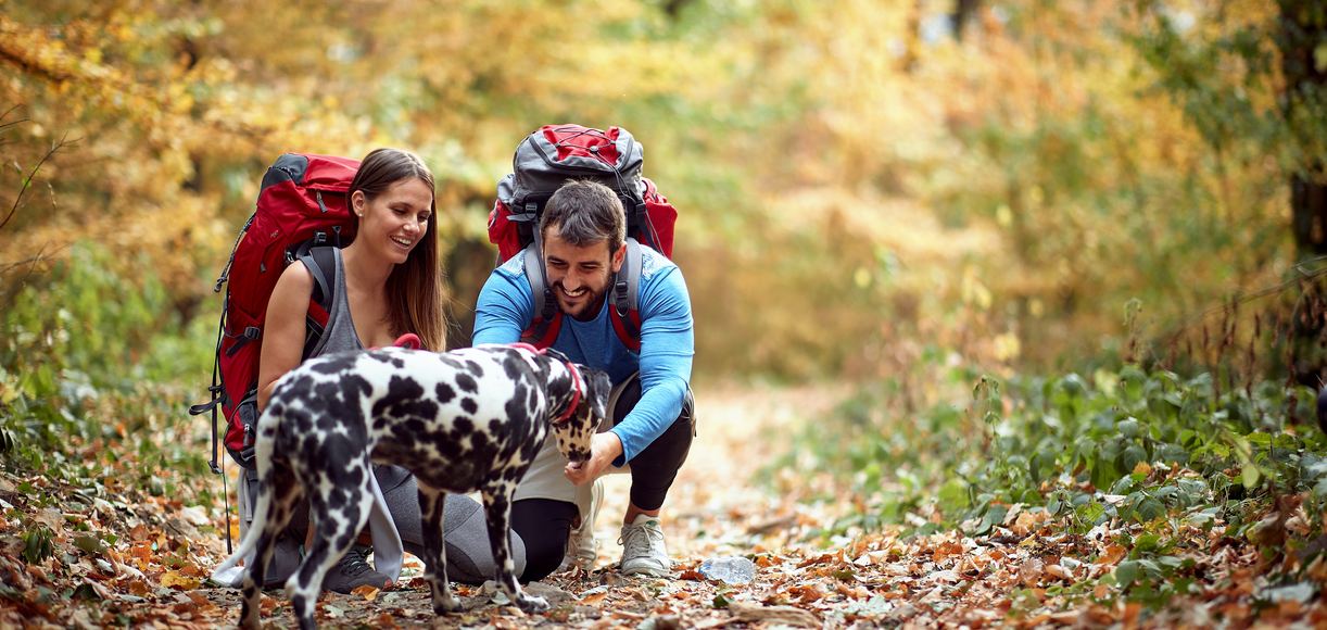 Dog friendly beach clearance hikes