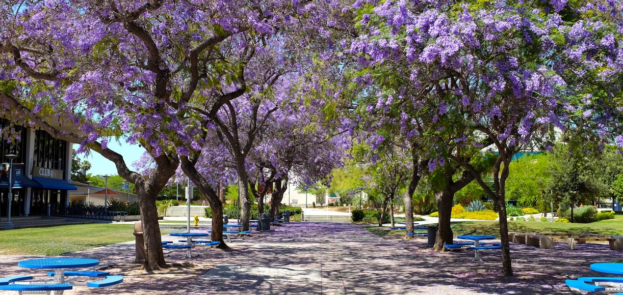 California visual data 5