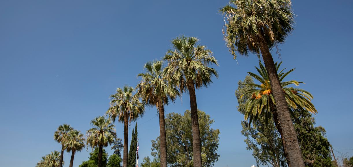 Discover Colton, California Your Ultimate Guide to Living in This