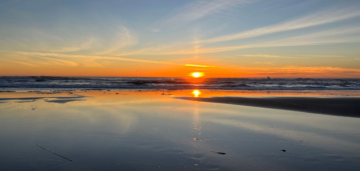 Delightful Shores Your Guide to the Top 5 Beaches near Watsonville