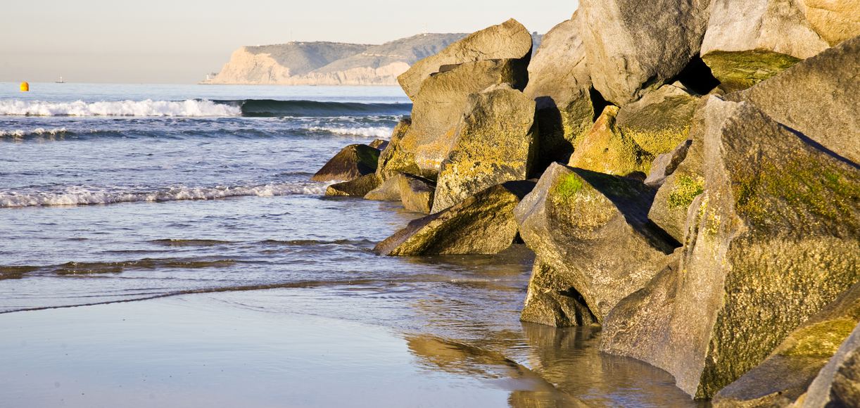 Seaside Escapades Discovering the Best Beaches Near La Mesa, California