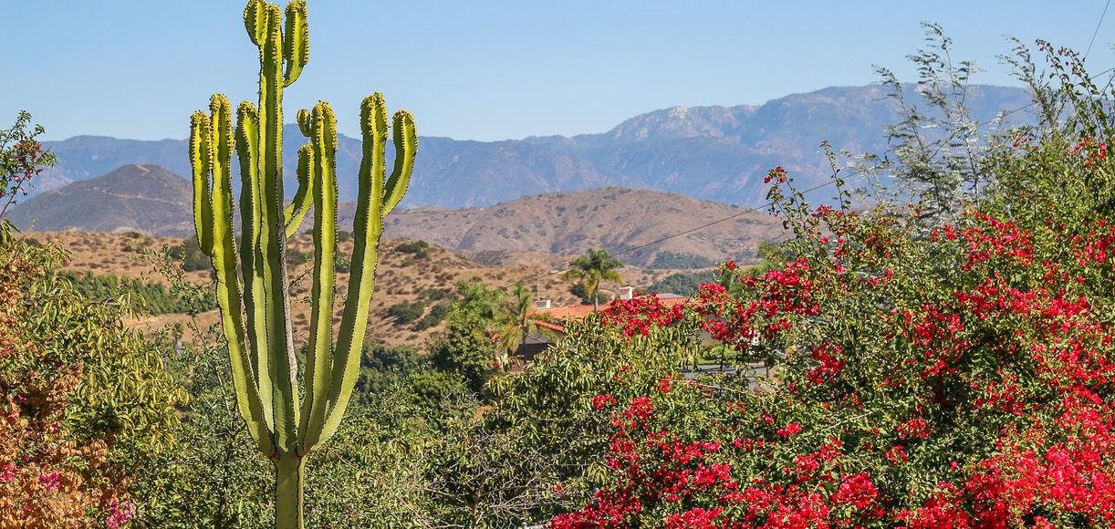 Southern California's Fallbrook Remains A Hidden Gem in the State
