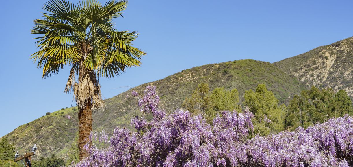 Discover the Charm of Sierra Madre, California