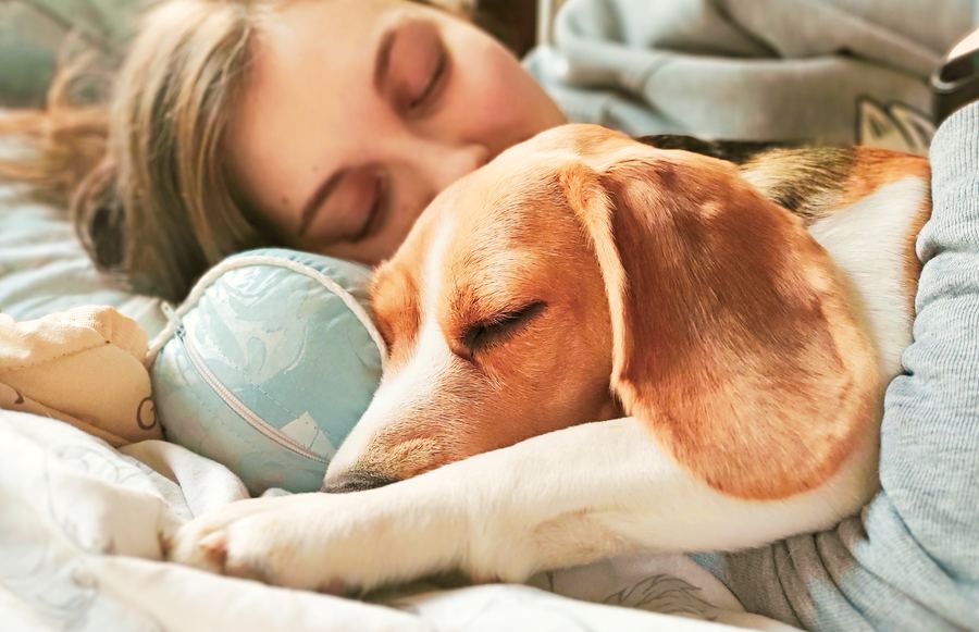 California's Best Sleep Apps and Products for a Better Night's Sleep