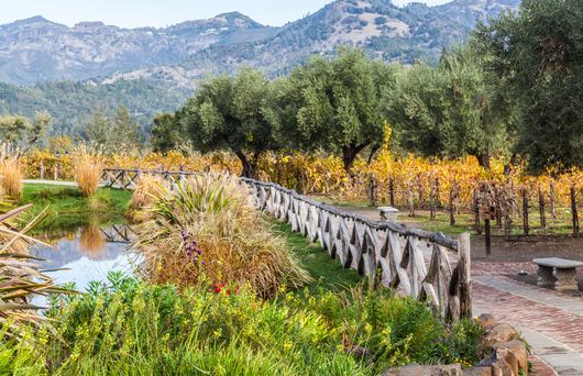 How to Spend a Perfect Weekend in Sonoma County, According to a Realtor