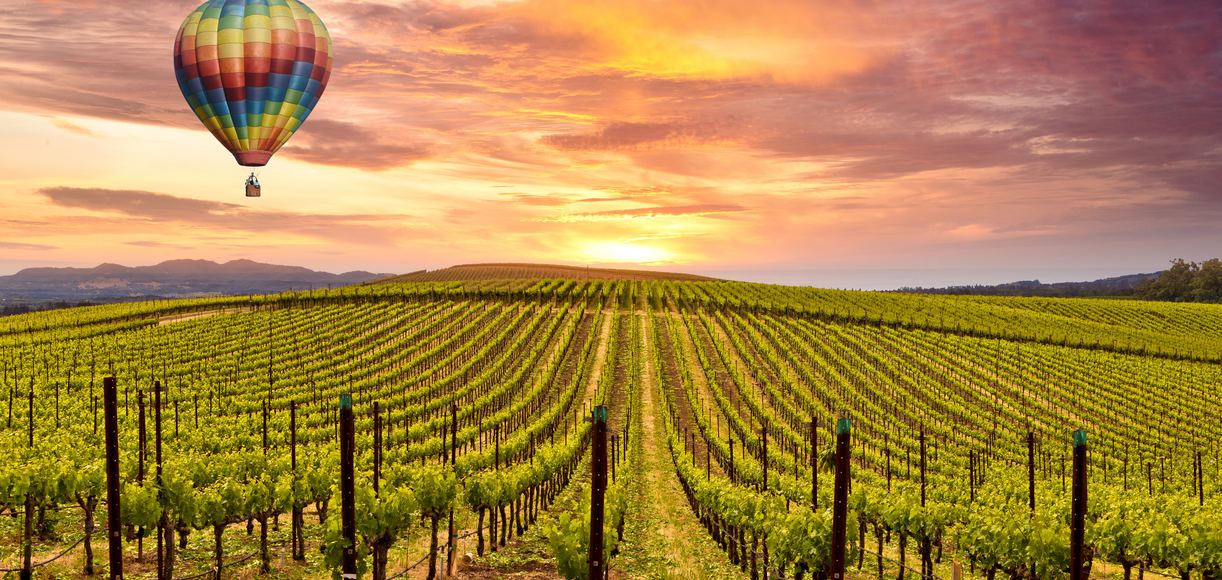 Sonoma vs. Napa: Which Wine Country Region is Best For You