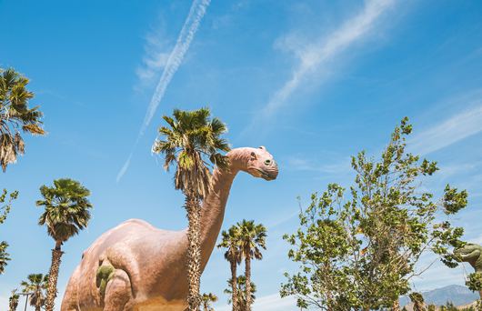 Quirky California: Roadside Attractions To Add To Your To-Do List