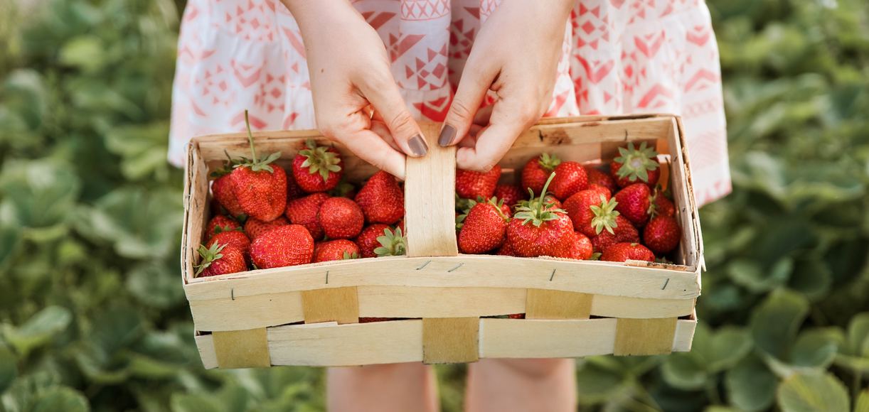 7 Ways to Take Advantage of Strawberry Season in California