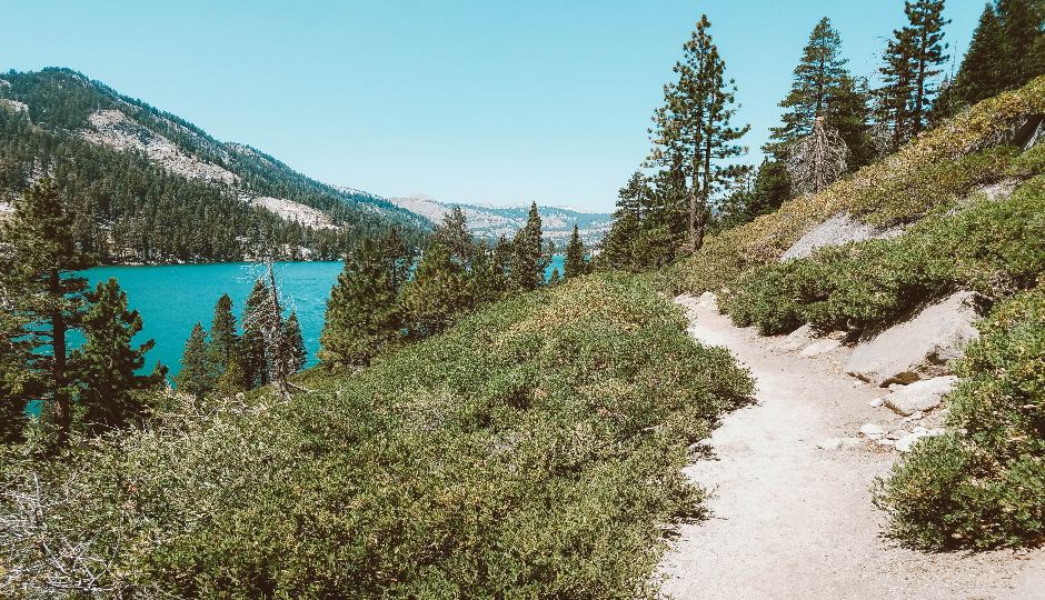 Traversing Trails: Hiking The Tahoe Rim Trail