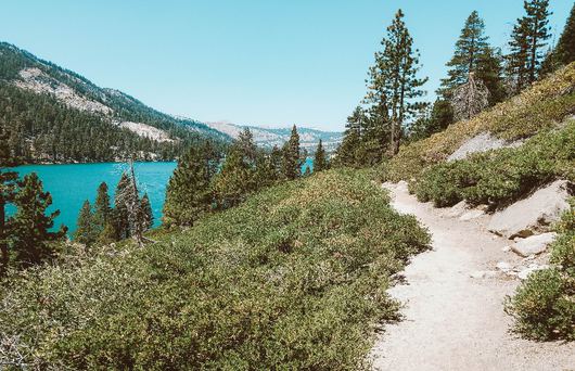 Traversing Trails: Hiking The Tahoe Rim Trail