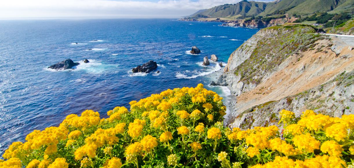 15 Unexpected Things to do in Carmel-by-the-Sea