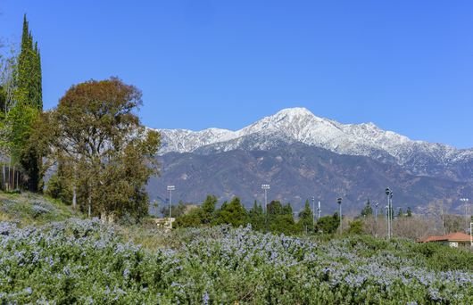 17 Things to do in Rancho Cucamonga You Didn't Know About