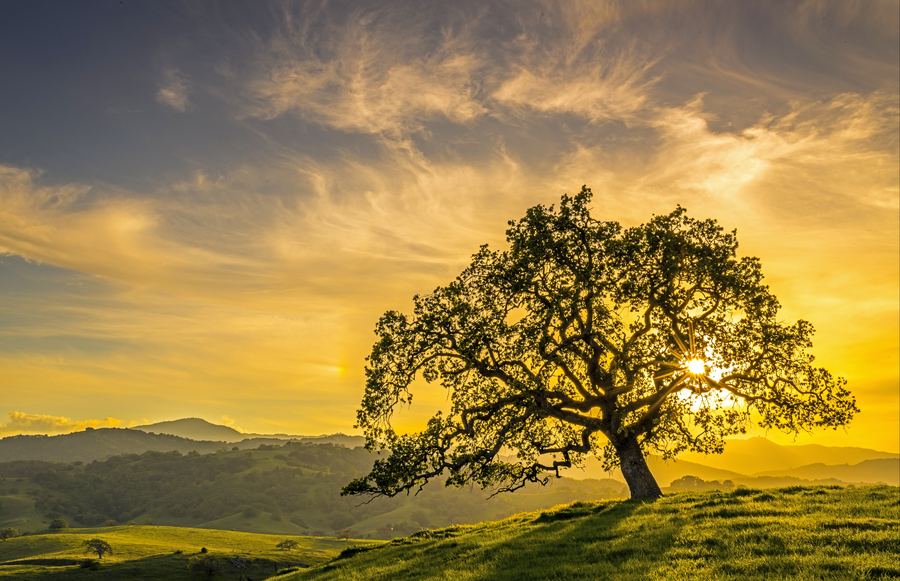 South Bay Adventures: The Best Things To Do in the South Bay