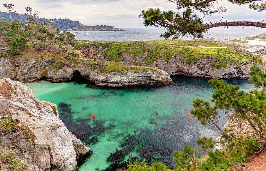 17 Unique Things To Do in Monterey, CA That Locals Don't Want You To Know About