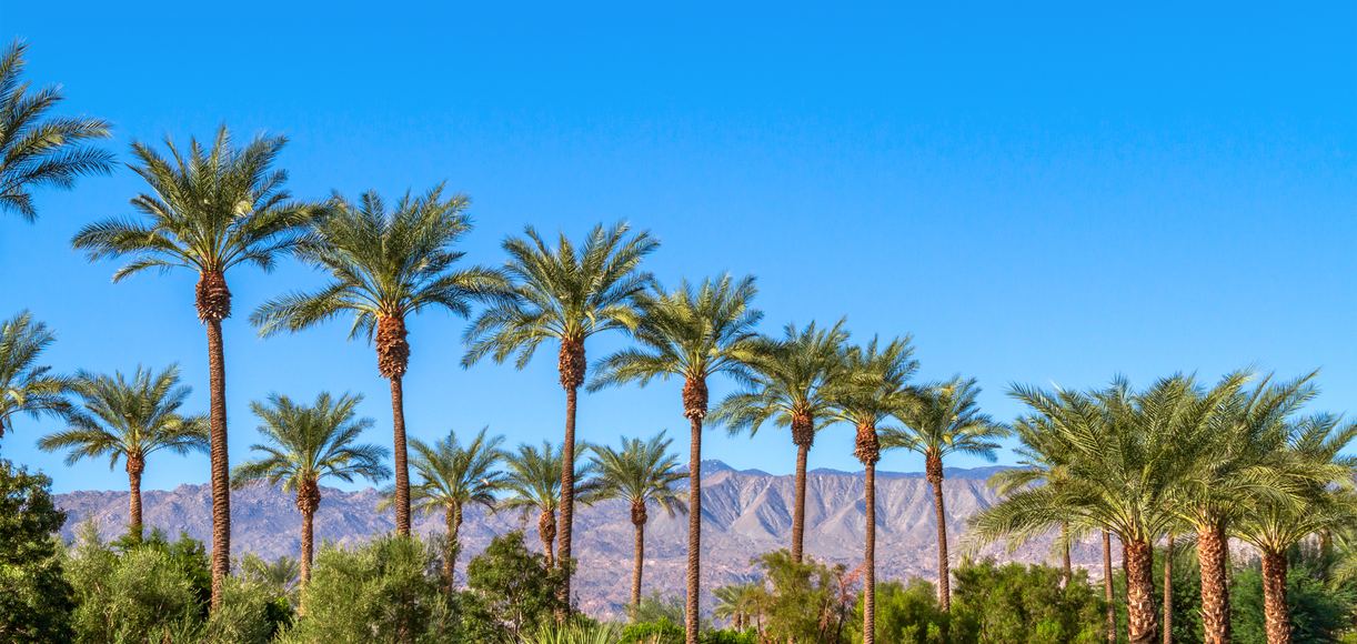 Everything You Need To Know About Visiting Palm Springs