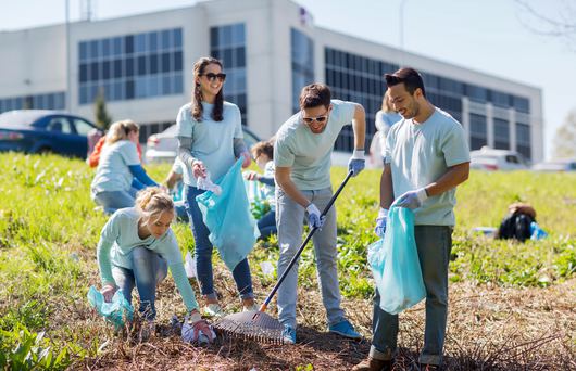 Volunteer in California with These Incredible Organizations
