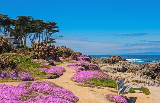 The Best Hikes in Monterey to Trek Year-Round
